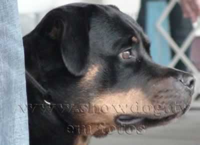 Clique sobre a foto para fechar